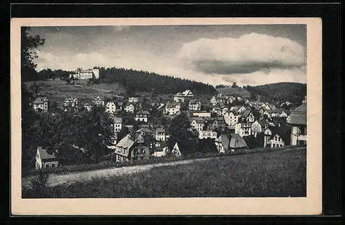 AK Morchenstern im Isergebirge, Ortstotale gegen das Parkhotel