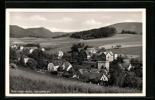 AK Bad Liebwerda im Isergebirge, Ortstotale