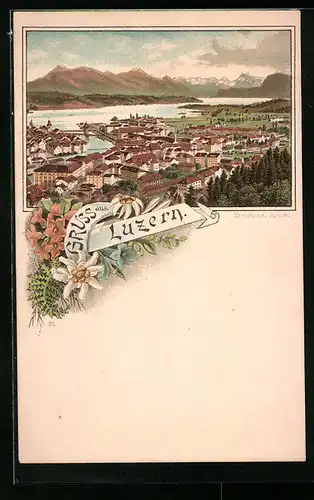 Lithographie Luzern, Panorama