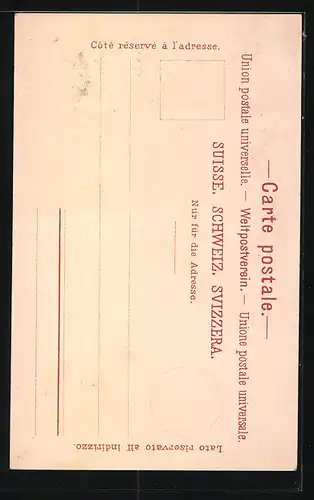 Lithographie Luzern, Panorama