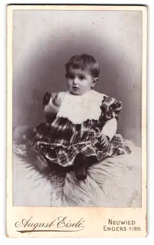 Fotografie August Eisele, Neuwied a. Rhein, Rhein-Str. 45, Süsses Kleinkind im karierten Kleid
