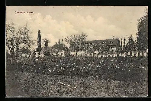 AK Storzeln /Bad, Ortspartie mit Blumenwiese