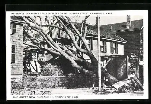AK Cambridge, MA, The great New England Hurricane of 1938, Homes damaged by fallen trees on Mt. Auburn Street, Unwetter