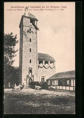 AK Hallgarten /Rhein, Aussichtsturm und Schutzhaus auf der Hallgarter Zange