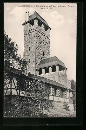 AK Hallgarten /Rhein, Aussichtsturm und Schutzhaus auf der Hallgarter Zange