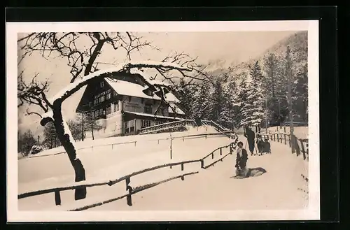 AK Reichenau /Rax, Alpenhotel und Pension Knappenhof