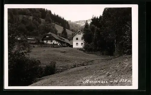 AK Mariensee a. W., Ortspartie mit Bäumen