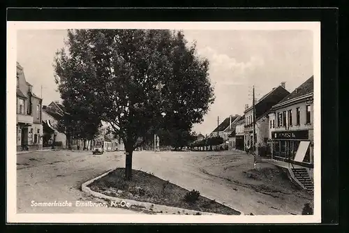 AK Ernstbrunn, Strassenpartie mit einem Baum