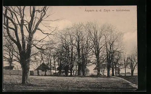 AK Asparn a. d. Zaya, Blick auf Schlosswiese