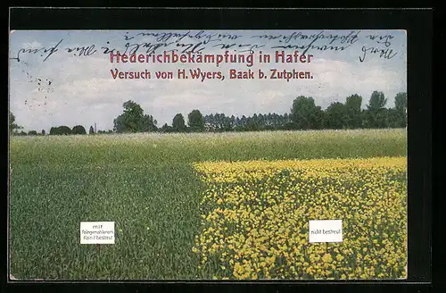 AK Hederichbekämpfung in Hafer, Versuch von H. Wyers, Baak b. Zutphen, Reklame