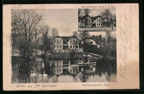 AK Hamburg-Rahlstedt, See mit Schwänen und Boot, Alt-Rahlstedter Park