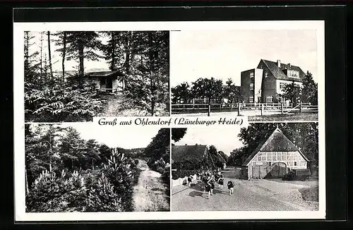 AK Ohlendorf /Lüneburger Heide, Verschiedene Partien aus der Ortschaft