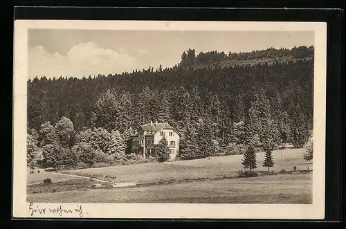 AK Bischofsgrün /Fichtelgebirge, Fremdenheim Villa Helene