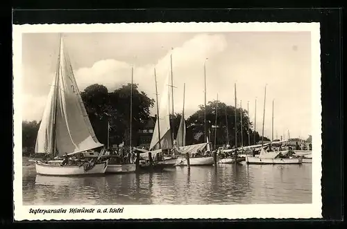 AK Missunde /Schlei, Segelyachten im Hafen