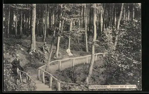 AK Kappeln, Hüholz, Ansicht Teufelsbrücke