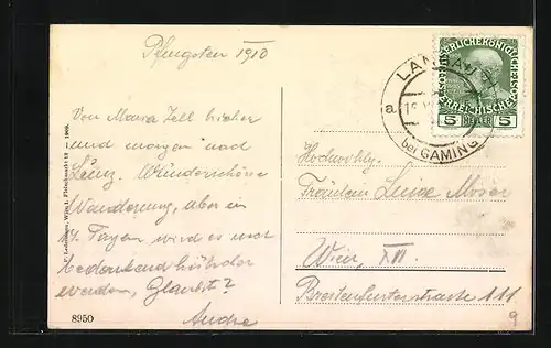 AK Neuhaus, Blick auf die Dächer des Ortes