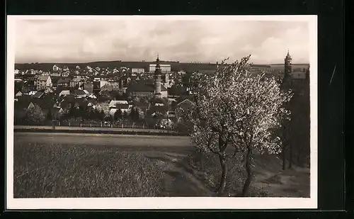 AK Domazlice, Blick über Felder auf die Stadt
