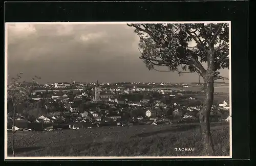 AK Tachau, Ortsansicht von einem Hügel aus