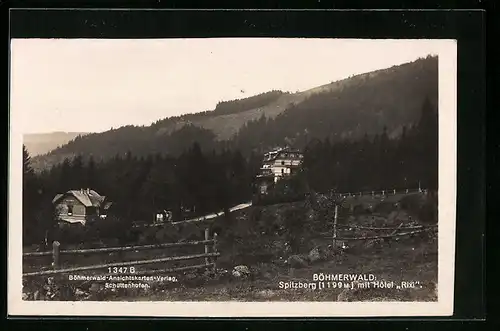 AK Spitzberg /Böhmerwald, Teilansicht mit Hotel Rixi
