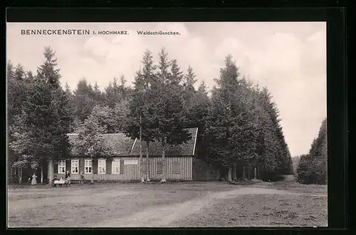 AK Benneckenstein / Hochharz, Gasthaus Waldschlösschen