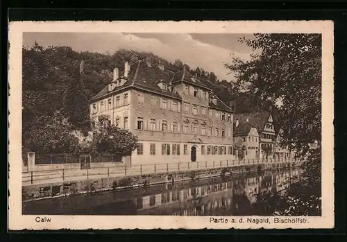 AK Calw, Nagoldpartie mit Bischoffstrasse