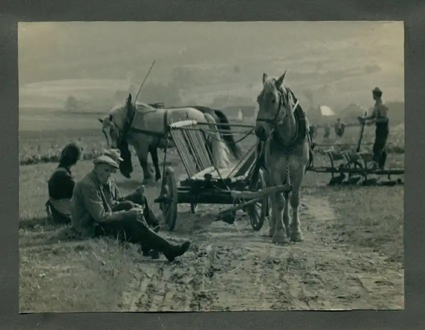 Fotoalbum mit 29 Fotografien, Dresden, Strassenbahn, sozialistische Ästhetik, Eisenbahn, DDR, dresdener amateur Fotograf 8