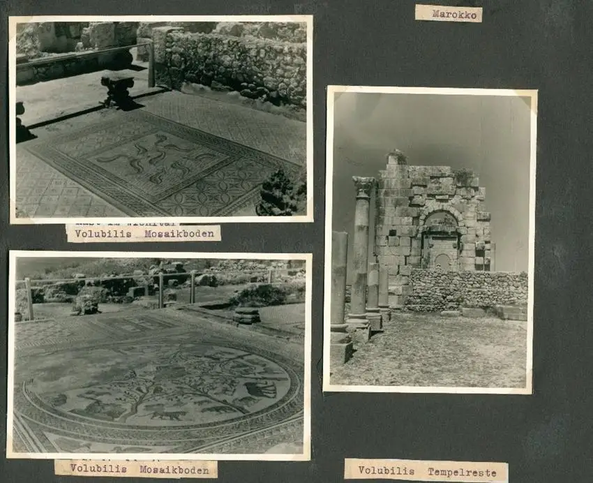 Fotoalbum mit 103 Fotografien, Ansicht Marrakesch, Moschee, El Bordj, Azrou, Meknes, Uriki, Spanien, Schweiz, Frankreich 15