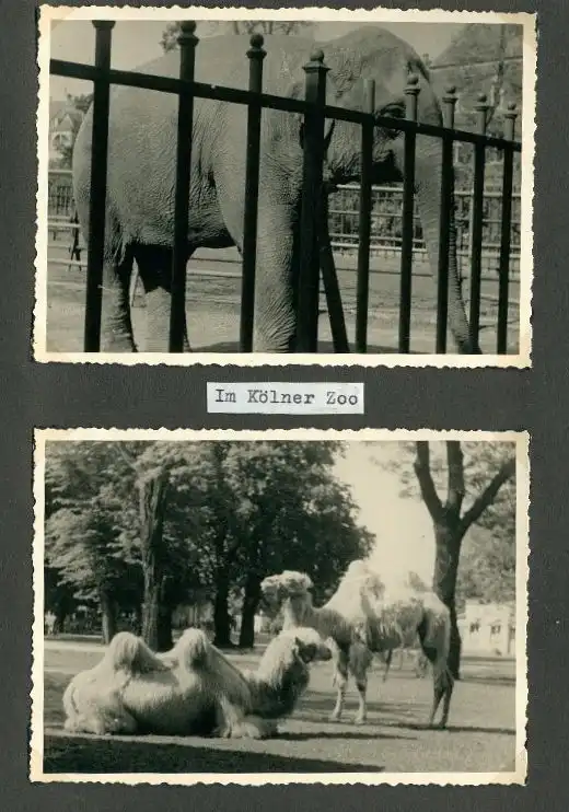 Fotoalbum mit 103 Fotografien, Ansicht Marrakesch, Moschee, El Bordj, Azrou, Meknes, Uriki, Spanien, Schweiz, Frankreich 28