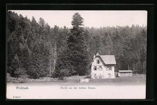 AK Wildbad, Partie an der hohen Tanne