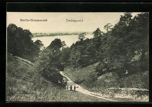 AK Berlin-Grunewald, Dachsgrund mit Seeblick