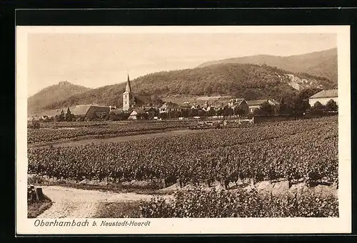 AK Oberhambach bei Neustadt /Haardt, Ortsansicht hinter Weinreben