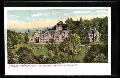 AK Waldleiningen i. bad. Odenwald, Schloss Waldleiningen