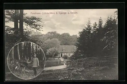 AK Springe am Deister, Forsthaus Cöllnischfeld, Jäger mit Reh