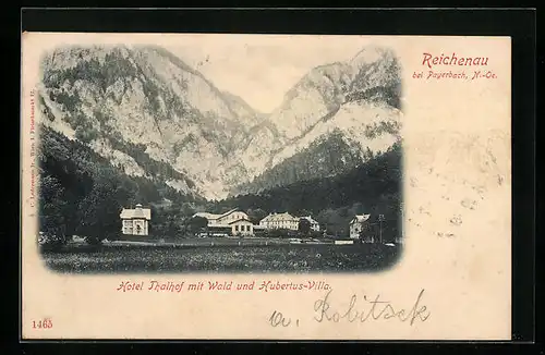 AK Reichenau bei Payerbach, Hotel Thalhof mit Wald und Hubertus-Villa