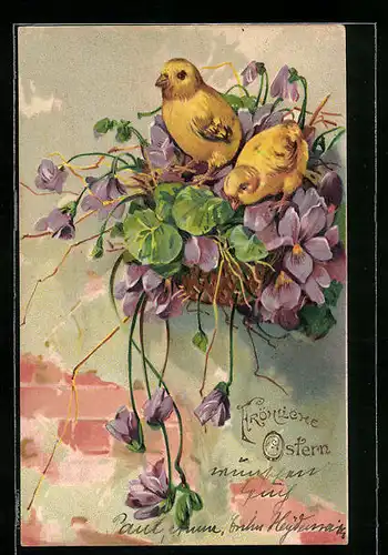 AK Osterküken mit Veilchen, Fröhliche Ostern