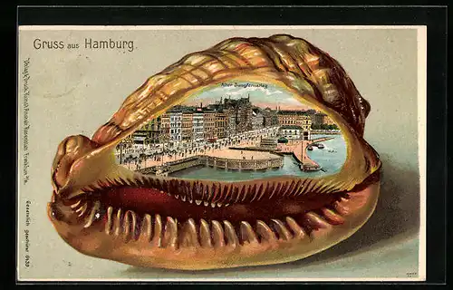 Passepartout-Lithographie Hamburg-Neustadt, Alter Jungfernstieg, Muschel