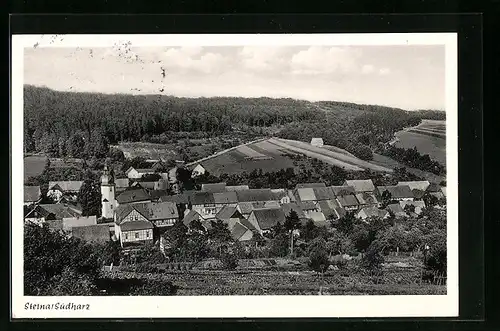 AK Steina / Südharz, Totalansicht