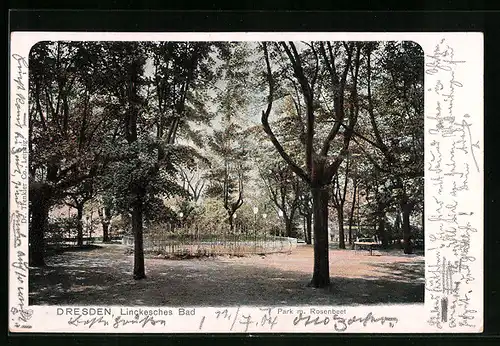 AK Dresden, Linckesches Bad, Park mit Rosenbeet