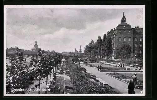 AK Dresden-Neustadt, Parkpartie am Königsufer