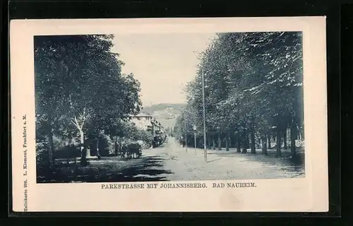 AK Bad Nauheim, Parkstrasse mit Johannisberg