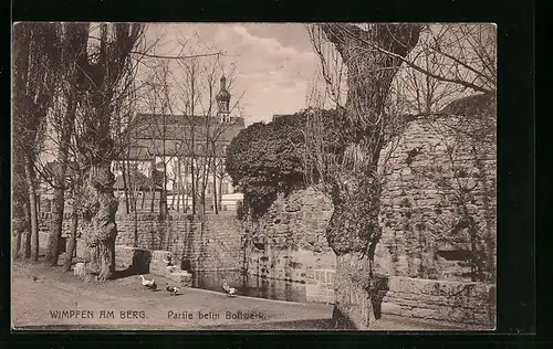 AK Wimpfen am Berg, Partie beim Bollwerk