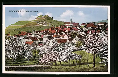 AK Weinsberg, Totale im Blütenschmuck