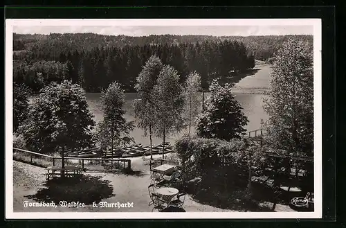 AK Fornsbach, Waldsee mit Bootsanlegestelle