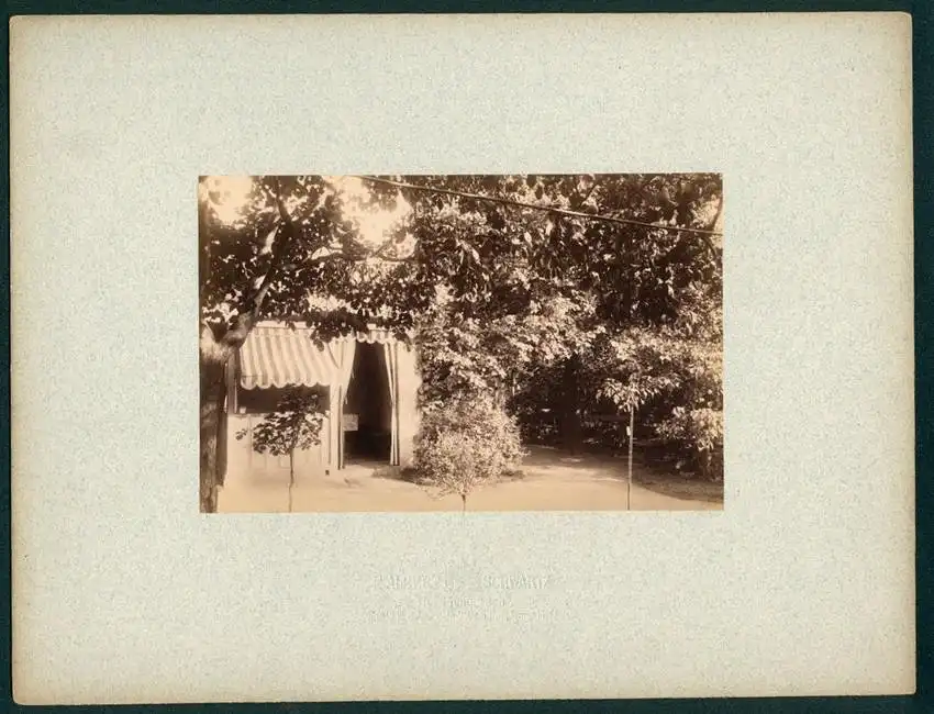 12 Fotografien Friedrich Albert Schwartz, Berlin, Ansicht Berlin-Westend, Wohnhaus Hauptmann E. Süss, Ahornallee 7 10