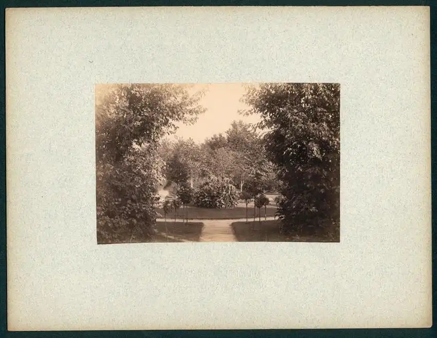 12 Fotografien Friedrich Albert Schwartz, Berlin, Ansicht Berlin-Westend, Wohnhaus Hauptmann E. Süss, Ahornallee 7 11