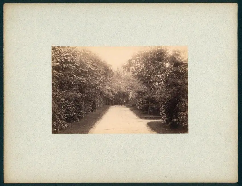 12 Fotografien Friedrich Albert Schwartz, Berlin, Ansicht Berlin-Westend, Wohnhaus Hauptmann E. Süss, Ahornallee 7 7