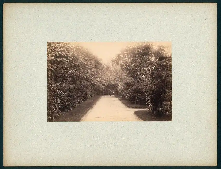 12 Fotografien Friedrich Albert Schwartz, Berlin, Ansicht Berlin-Westend, Wohnhaus Hauptmann E. Süss, Ahornallee 7 7