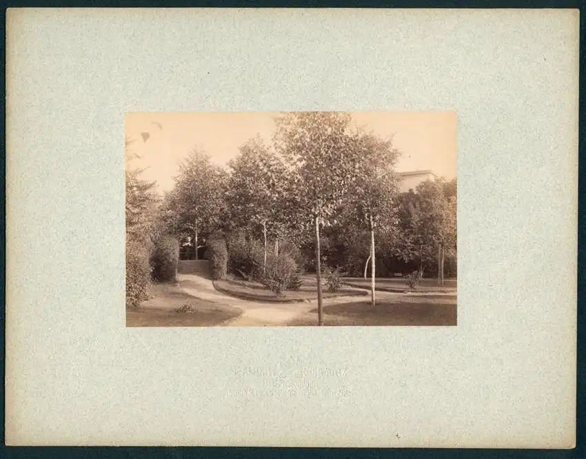 12 Fotografien Friedrich Albert Schwartz, Berlin, Ansicht Berlin-Westend, Wohnhaus Hauptmann E. Süss, Ahornallee 7 8