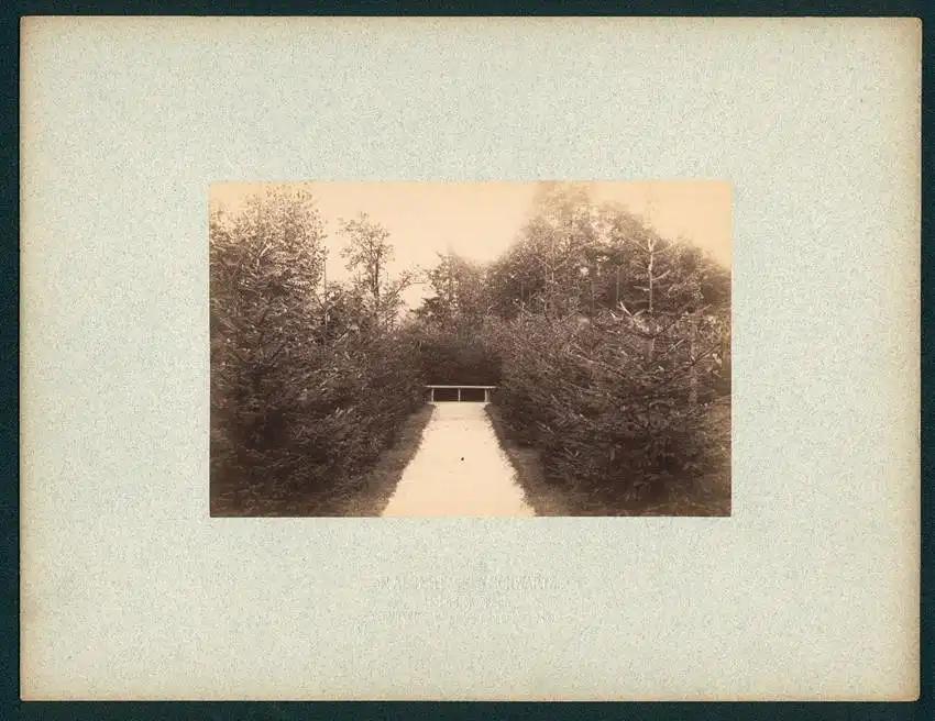 12 Fotografien Friedrich Albert Schwartz, Berlin, Ansicht Berlin-Westend, Wohnhaus Hauptmann E. Süss, Ahornallee 7 9