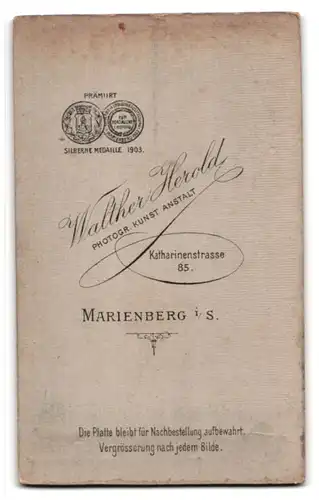 Fotografie Walther Herold, Marienberg, Katharinenstrasse 85, Junger Soldat mit Degen und Hand hinter dem Rücken